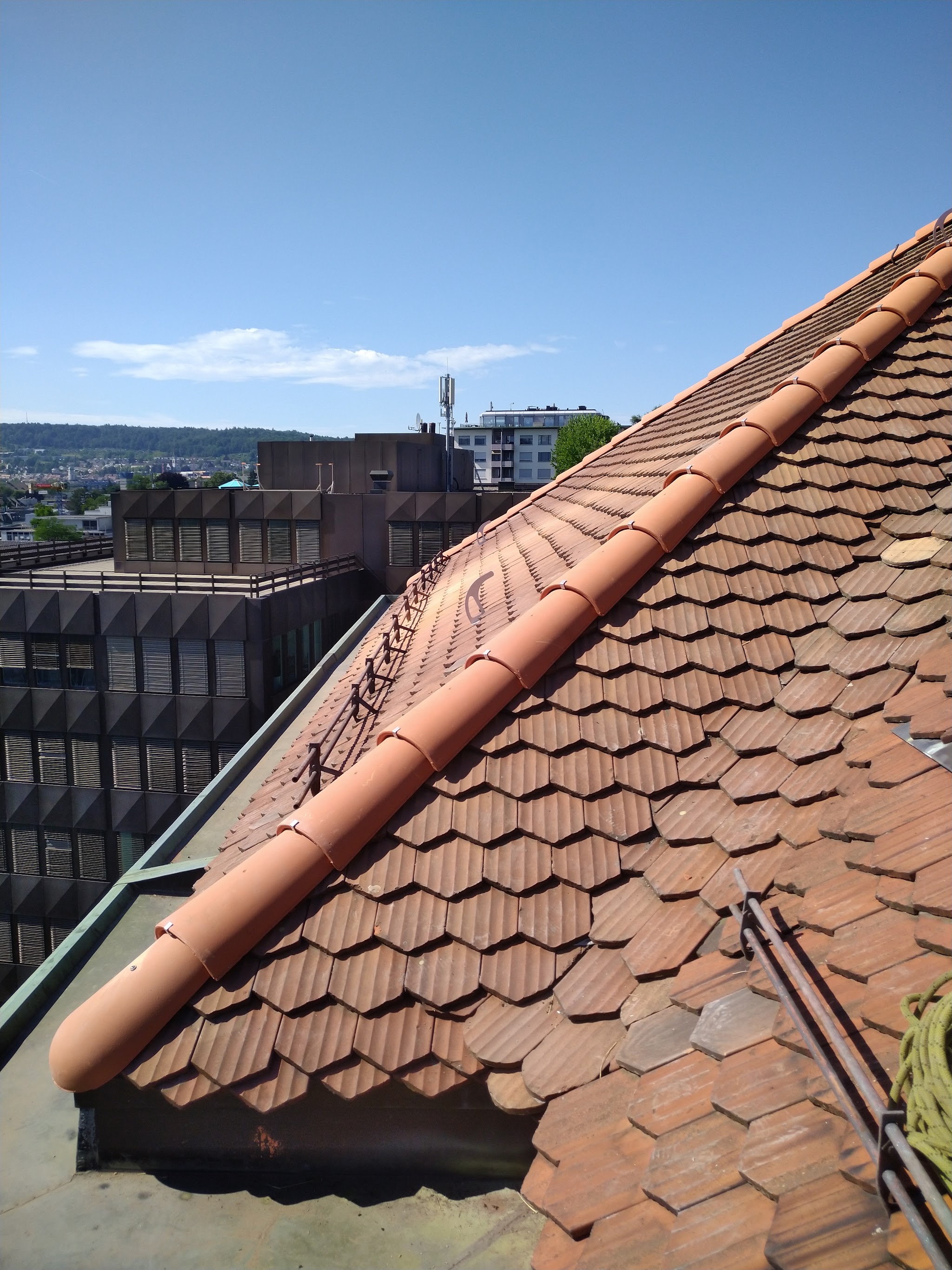 Dachfirst mit Biberschwanzziegeln